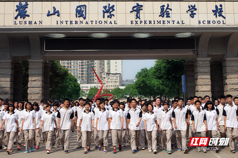 版本T0又添强力一员?梅林达最佳性价比星级推荐! 版本T0又添强力一员?梅林达最佳性价比星级推荐!